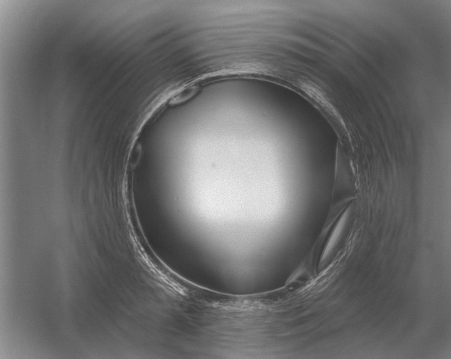 X0000054420797200508192056