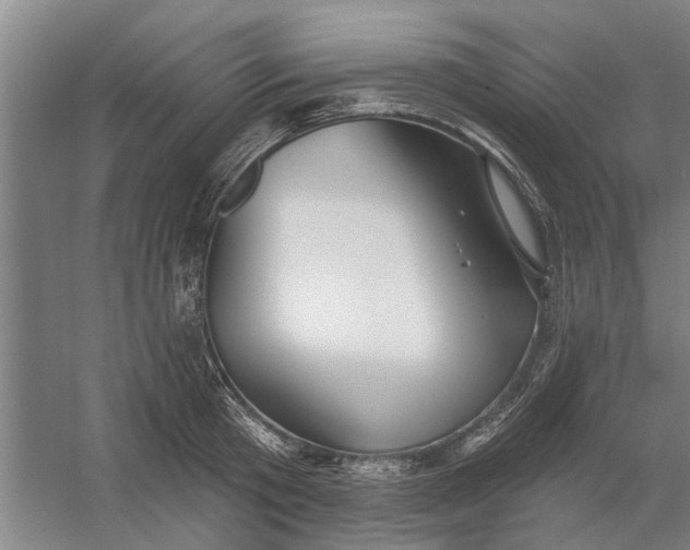 X0000054420801200508192056