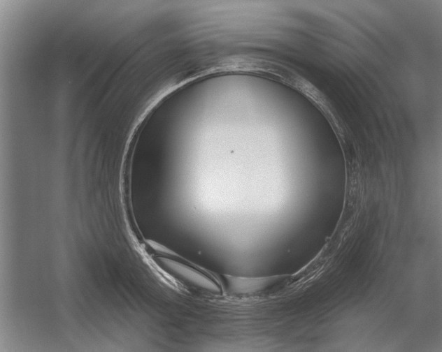 X0000054420803200508192056
