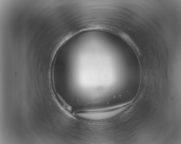 X0000054420805200508192056