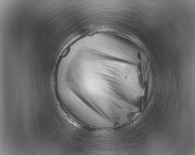 X0000054420806200508192056