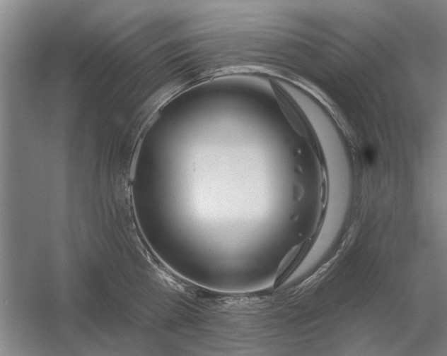 X0000054420809200508192056