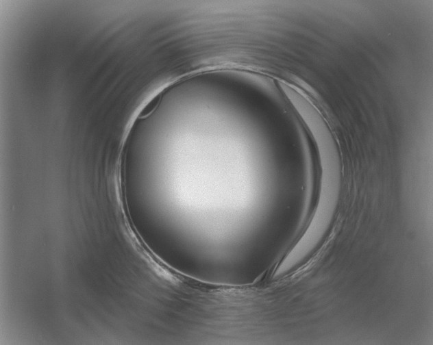 X0000054420812200508192056
