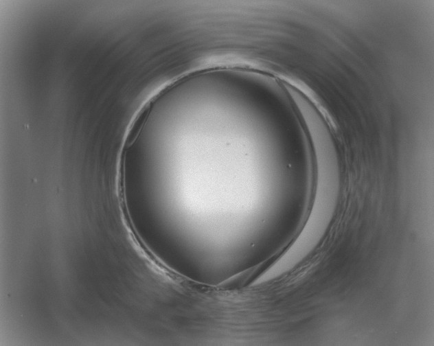 X0000054420815200508192056
