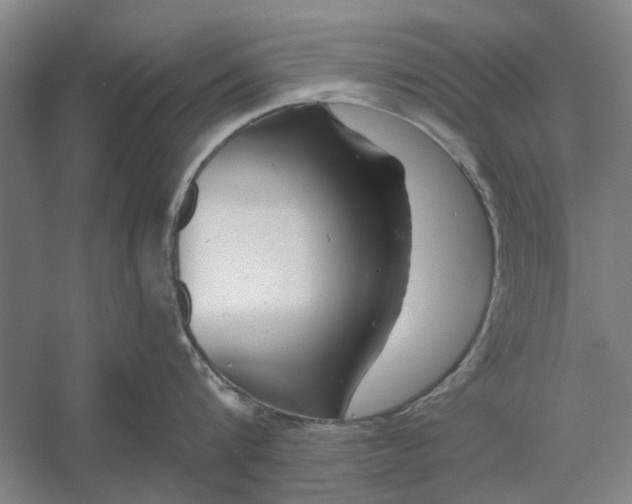 X0000054420816200508192055