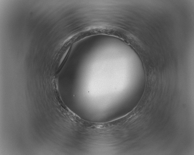 X0000054420822200508192055