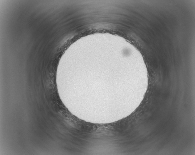 X0000054420824200508192055