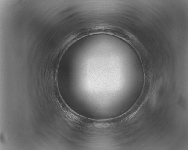 X0000054420825200508192055