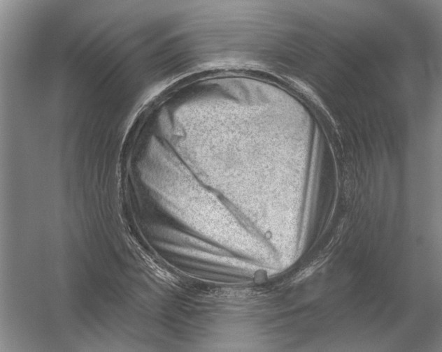 X0000054420831200508192055