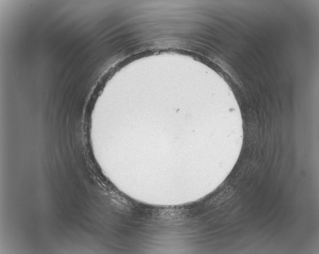 X0000054420832200508192055