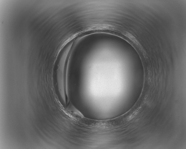 X0000054420834200508192055