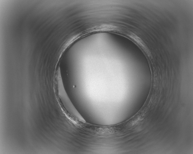 X0000054420850200508192055