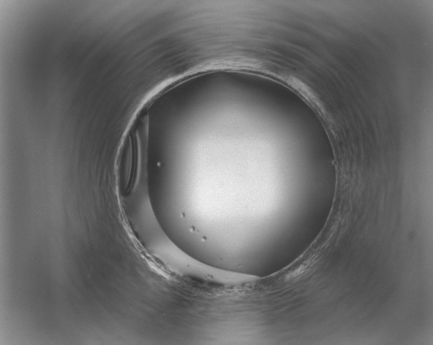 X0000054420854200508192055