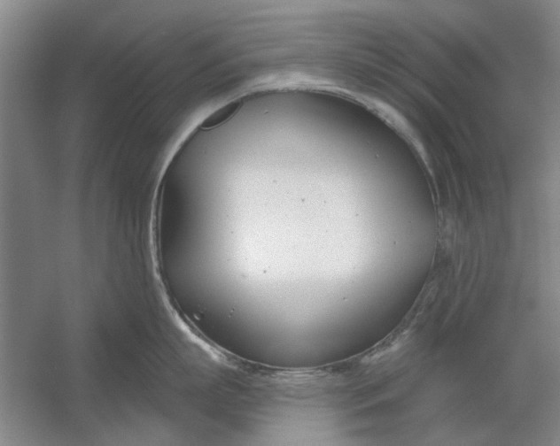 X0000054420863200508192055