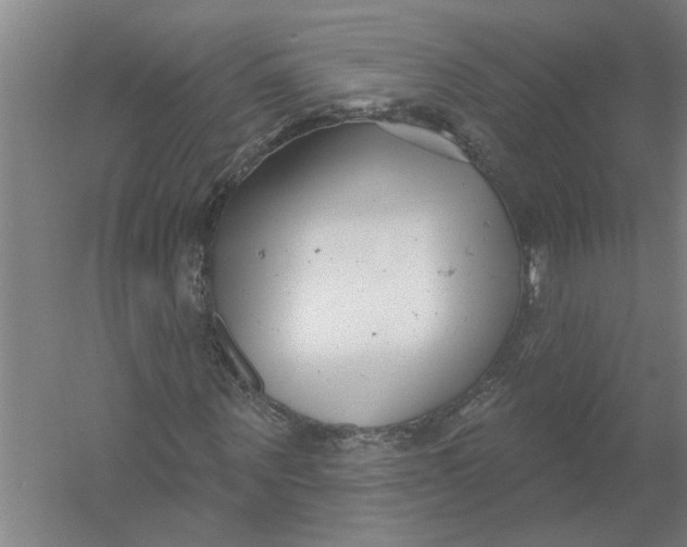 X0000054420867200508192055