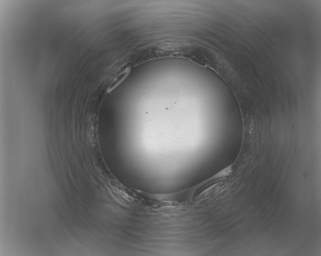 X0000054420868200508192055