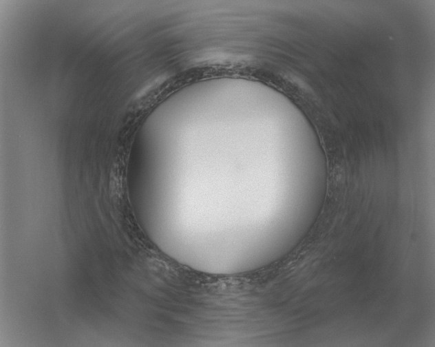 X0000054420869200508192055