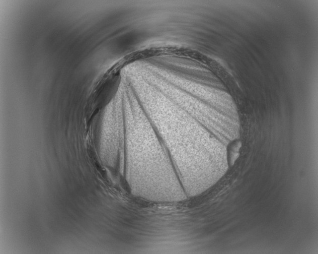 X0000054420871200508192055