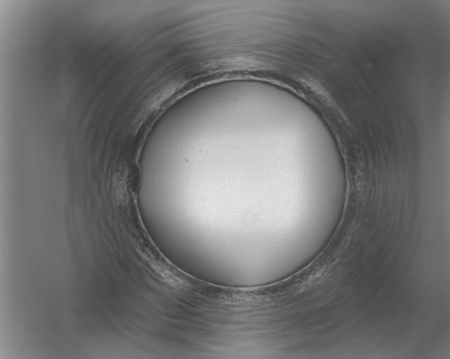 X0000054420873200508192055