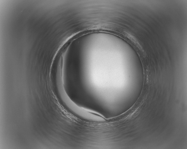 X0000054420876200508192054