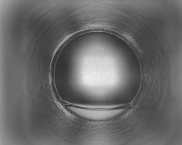 X0000054420888200508192054
