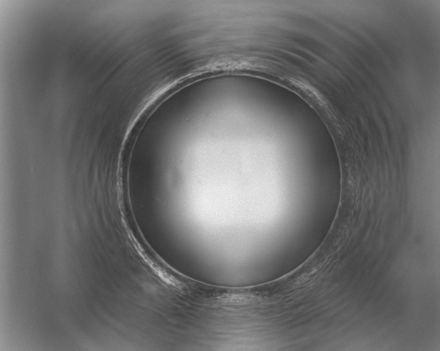 X0000054420894200508192054