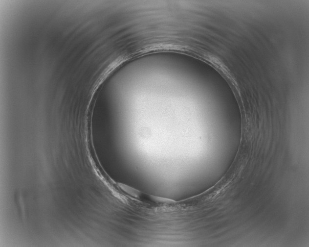 X0000054420898200508192054