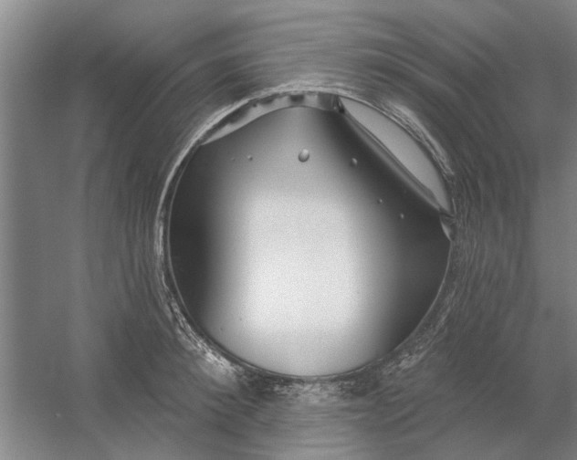 X0000054420900200508192054