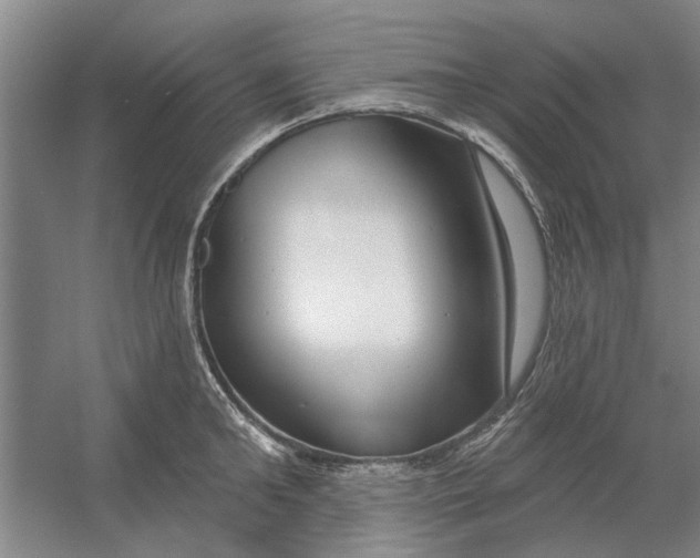 X0000054420902200508192054