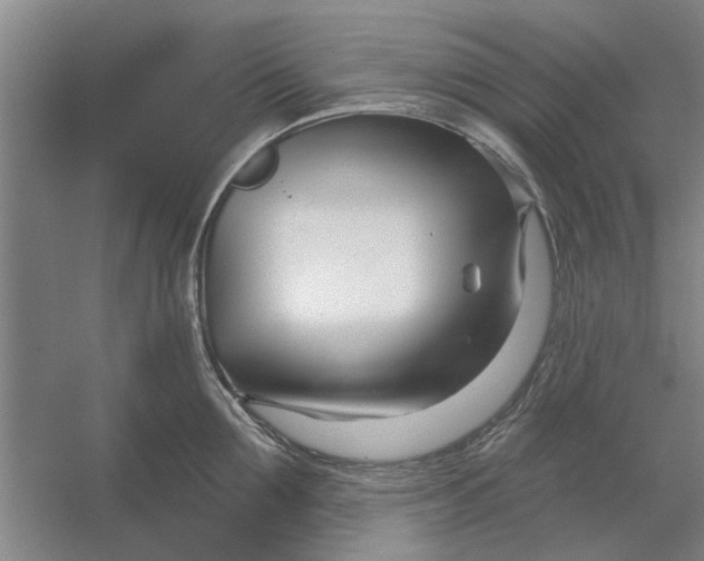X0000054420907200508192054