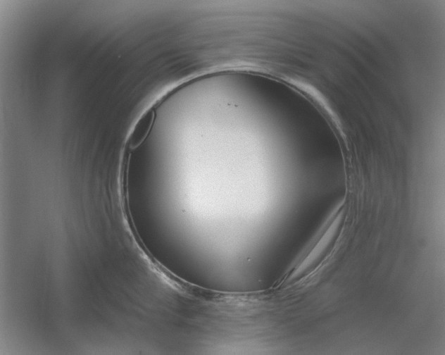 X0000054420910200508192054