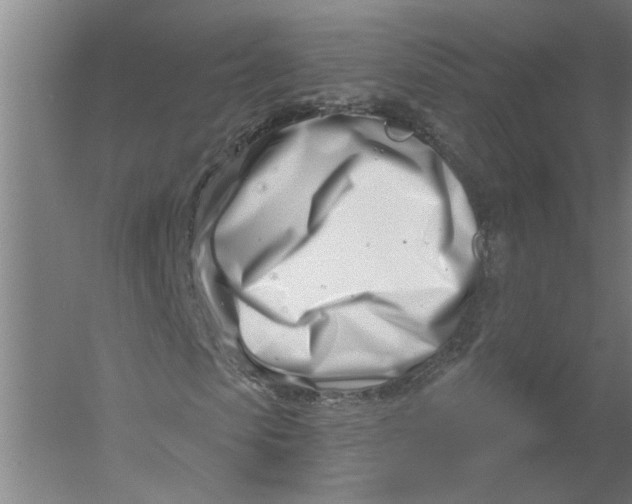 X0000054420913200508192053