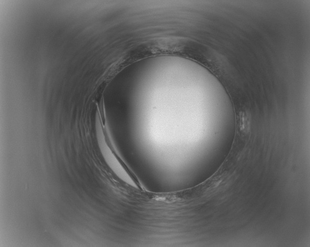 X0000054420915200508192053