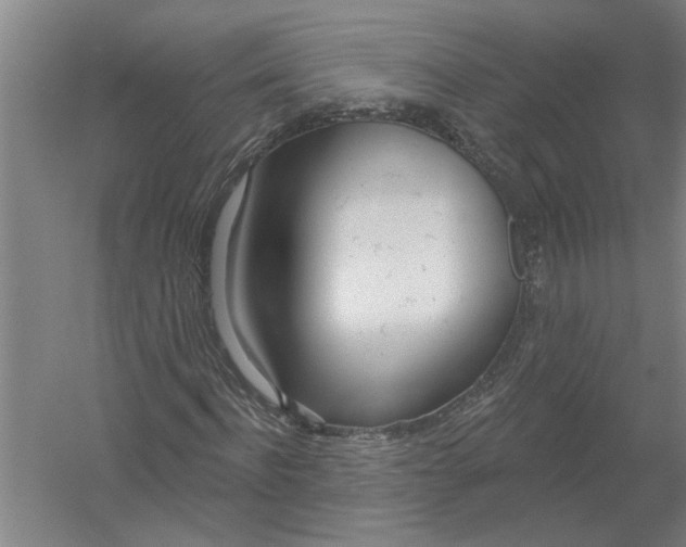 X0000054420916200508192053
