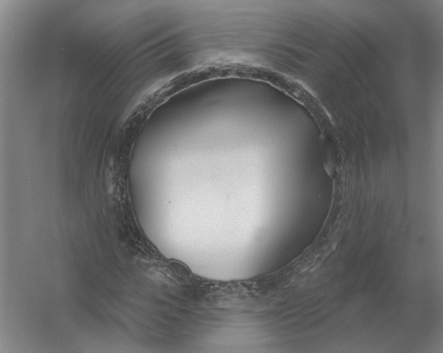 X0000054420919200508192053