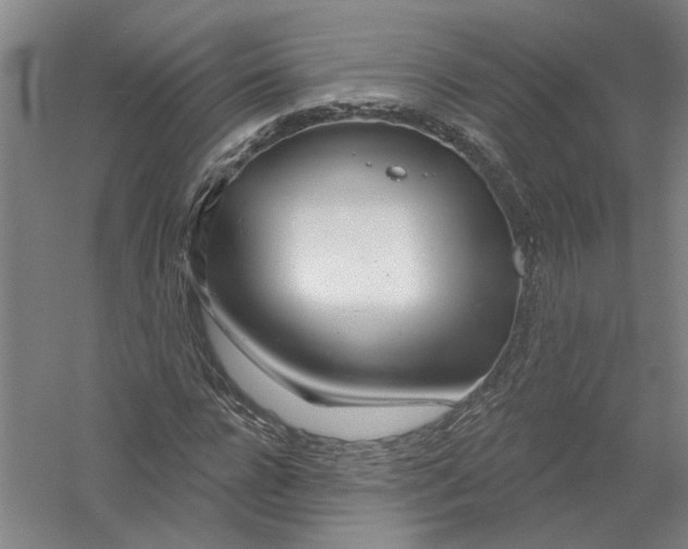 X0000054420920200508192053