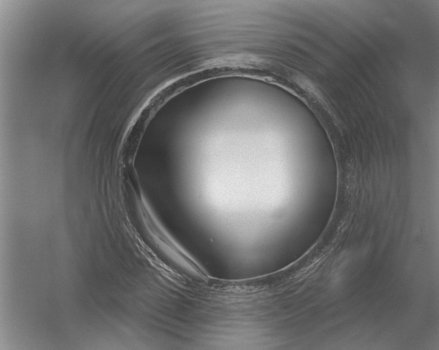 X0000054420923200508192053