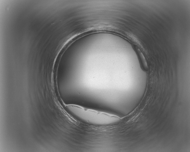 X0000054420932200508192053