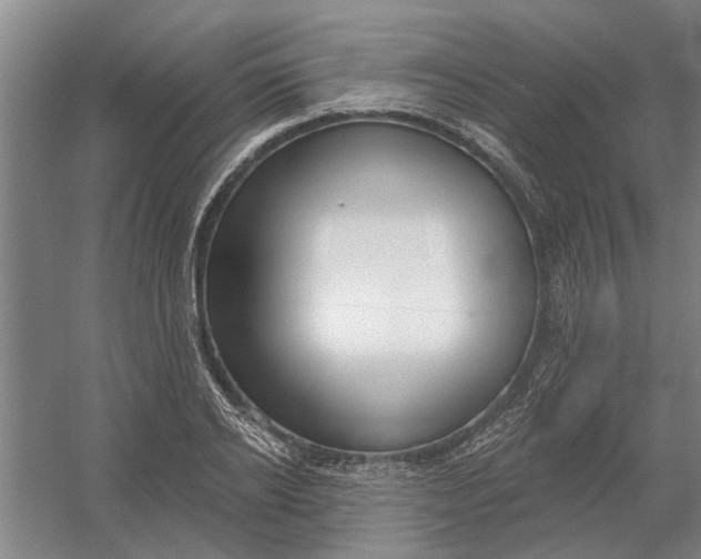 X0000054420934200508192053