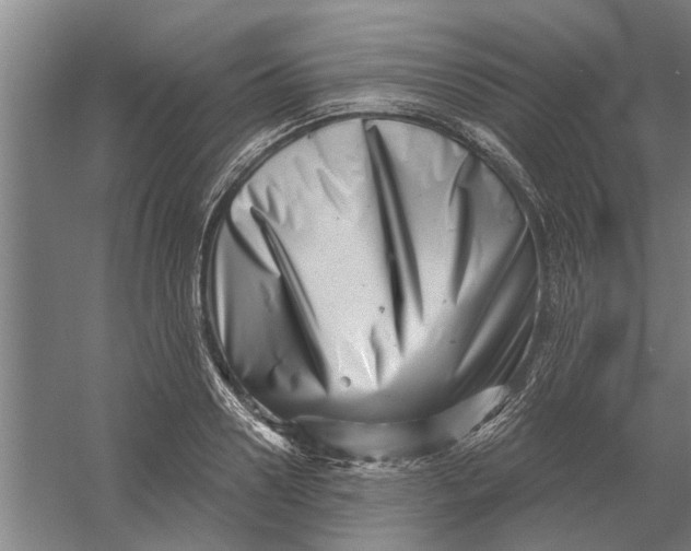 X0000054420938200508192053