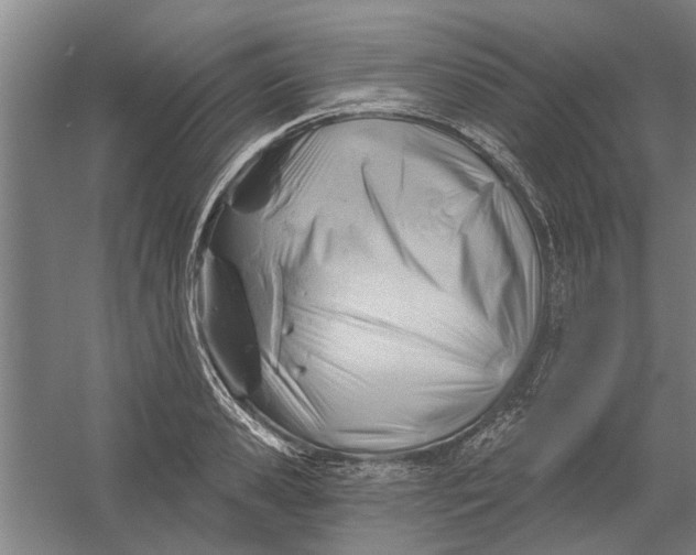 X0000054420941200508192054