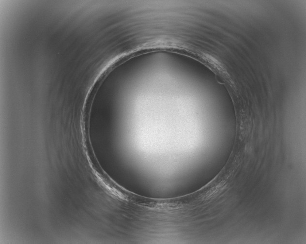 X0000054420942200508192054