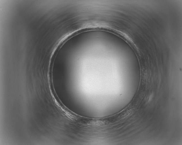 X0000054420943200508192054