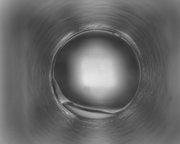 X0000054420946200508192054