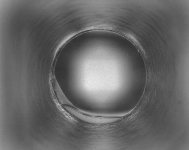 X0000054420952200508192054