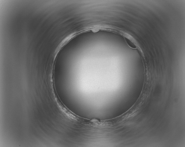 X0000054420954200508192054