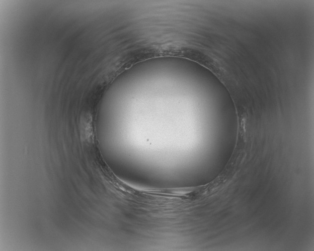 X0000054420963200508192053