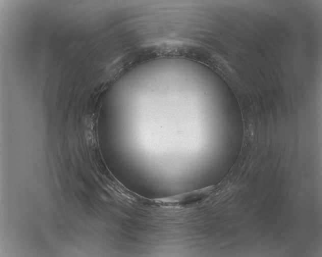 X0000054420964200508192053