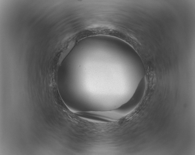 X0000054420965200508192053