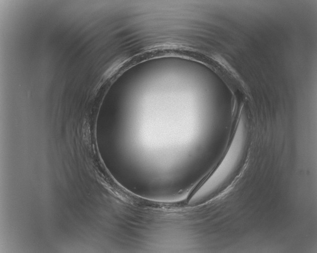 X0000054420969200508192053